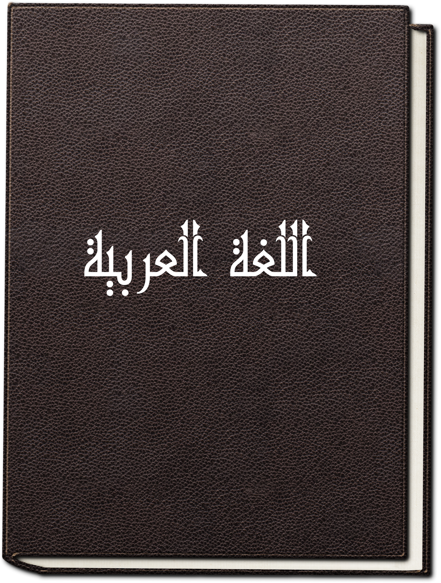 دورة اللغة العربية